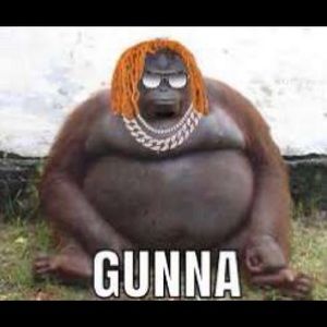 Meet your Posher, Nikolas